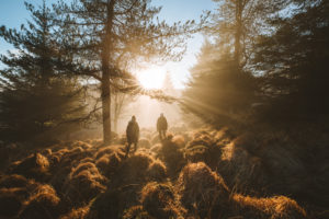 Two people looking at sunrise in a forest in the Dublin Mountains