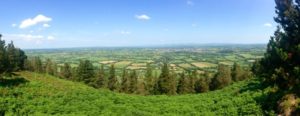 Panoramic view of the forests of the Glen of Aherlow