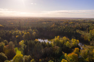 Aerial view of mixed forest at Coillte's Donadea forest park