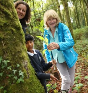 People beside mature tree with small tree in hand for child to plant