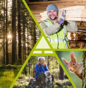 Image showcasing the values of forests for wood, nature, people and climte, with a forest, a red squirrel, a man carrying lumber and a woman and dig resting in the forest
