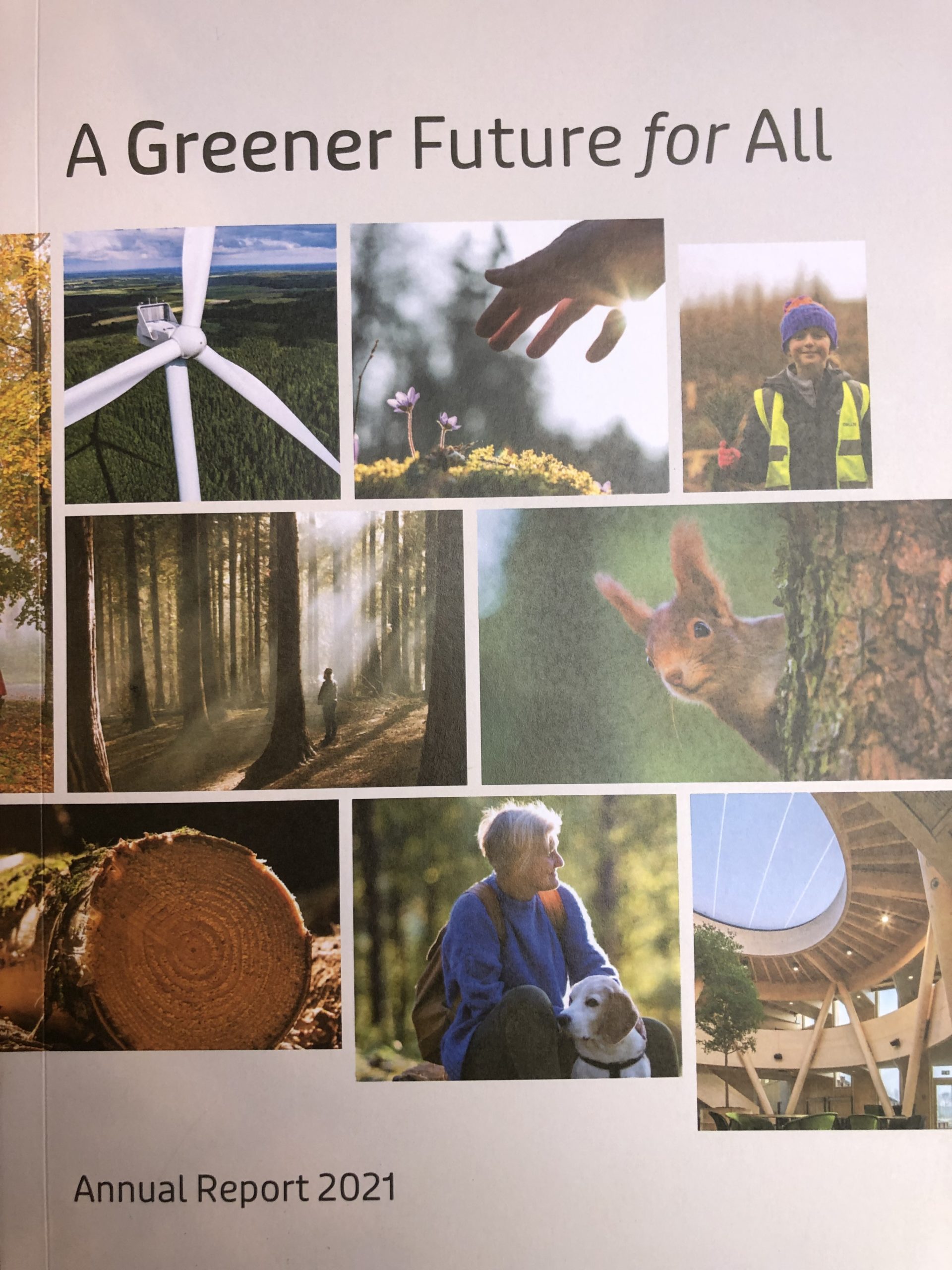 https://www.coillte.ie/site/avondale-forest-park/ Cover page and our vision