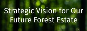 Picture of logo stating strategic vision for our future forest estate