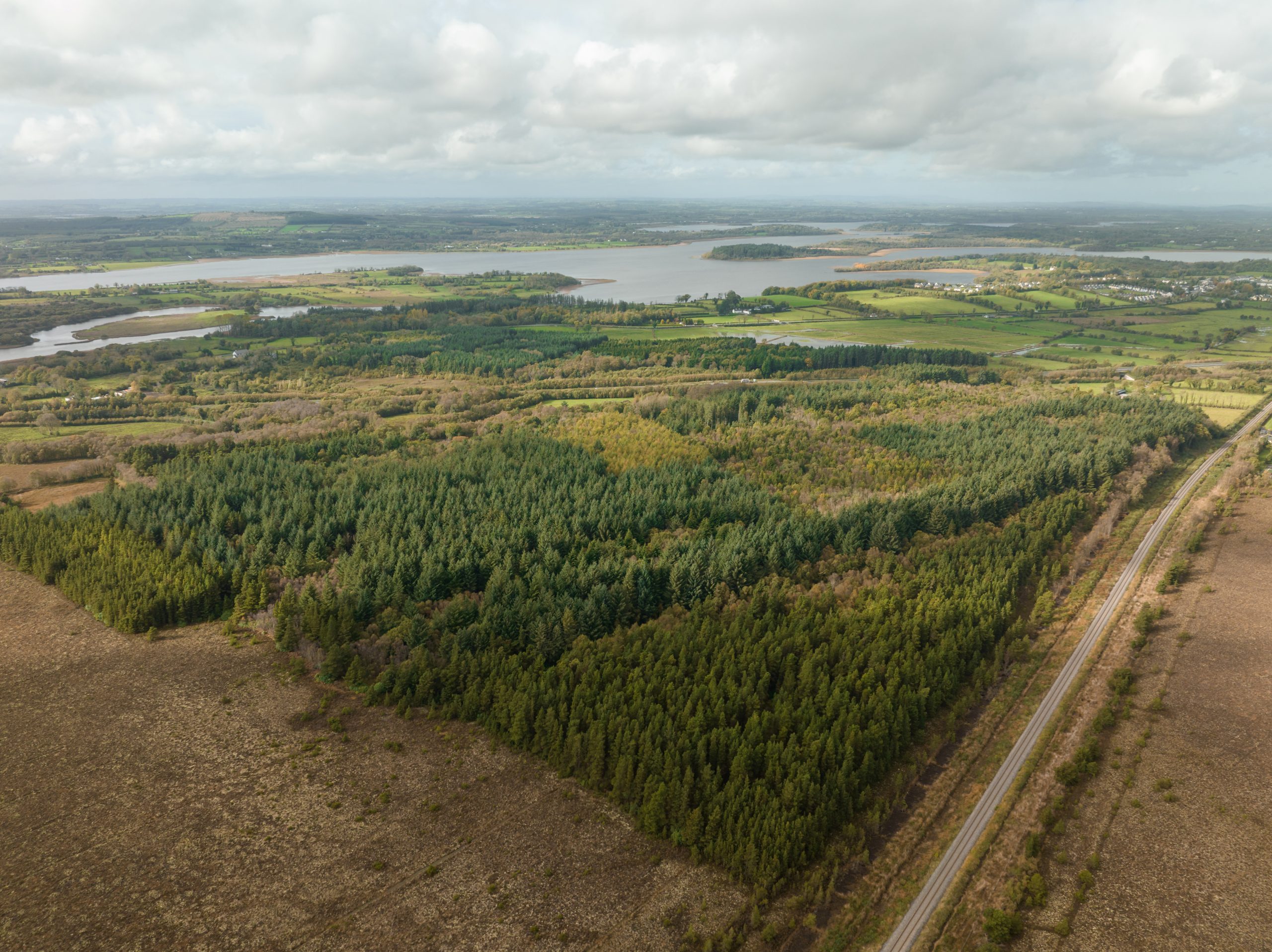 Cornagillagh Forest from above