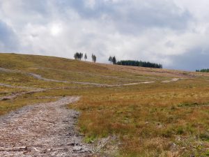 Peatland restoration in scotland