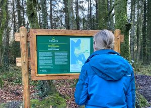 Derrycarne Forest