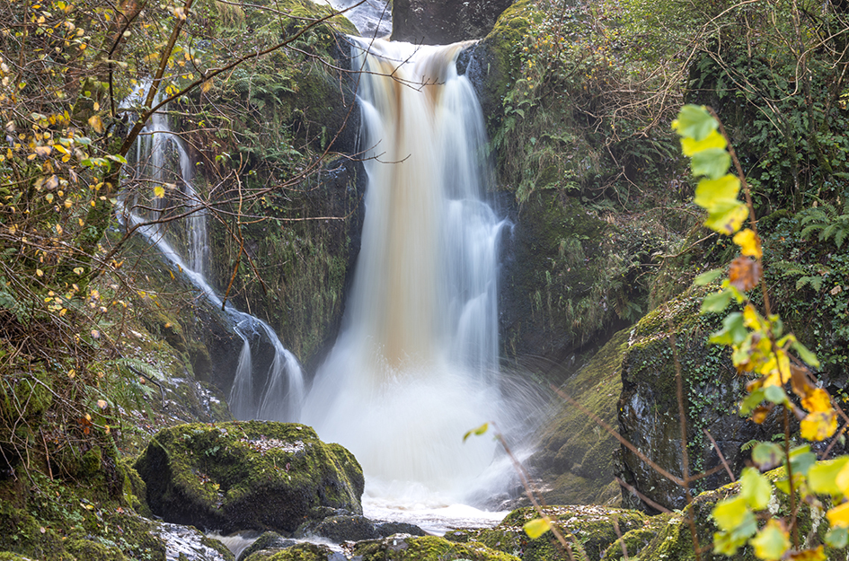 Enhancing Biodiversity at The Devil’s Glen