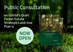 Picture of a forest floor with text displaying Public consultation on Coillte's draft forest estate startegic land use plan is now open.