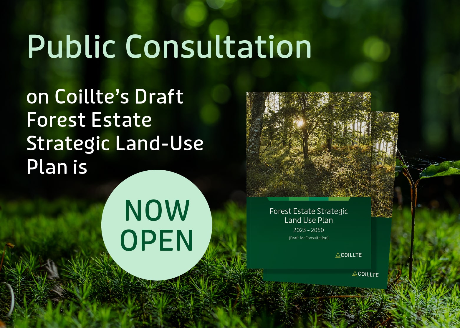 PUBLIC CONSULTATION ON COILLTE’S DRAFT FOREST ESTATE STRATEGIC LAND-USE PLAN IS NOW OPEN