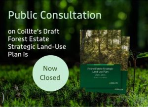 Image of forest floor with superimposed text stating the public consultation period for Coillte's feslup is now closed