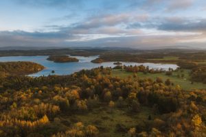 aerial view of forest park landscape looking over tree tops and lake