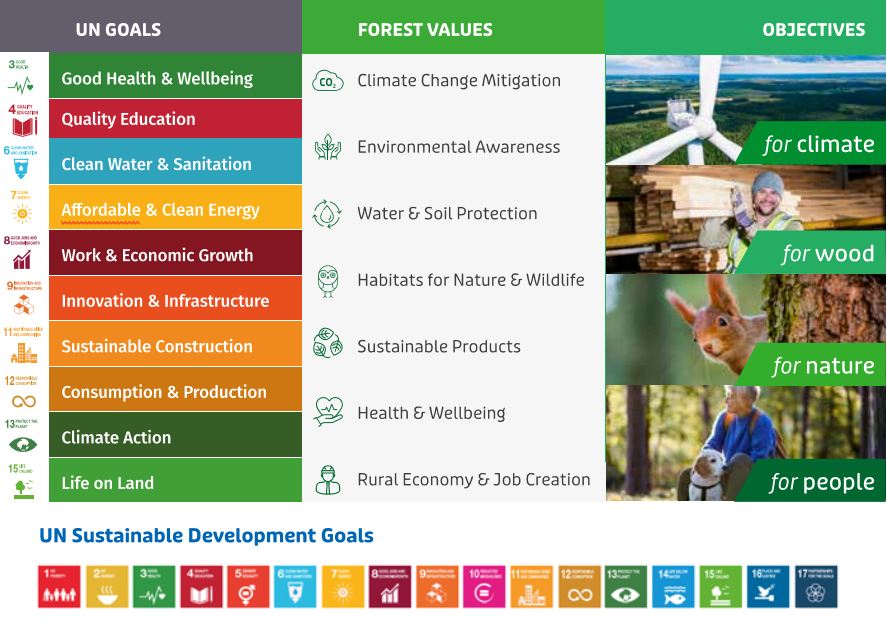 Picture of the UN Sustainable Development Goals and how they relate to forestry