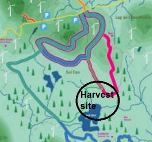 Map of the Galway Wind Park mountain bike trails showing where tree harvesting and replanting operations will occur