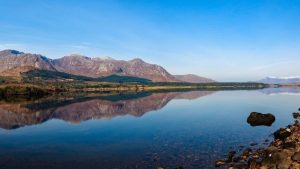 Picture of a forest panted on peatlands at the foot of a mountain taken from across a lake on a sunny day with clear blue skies