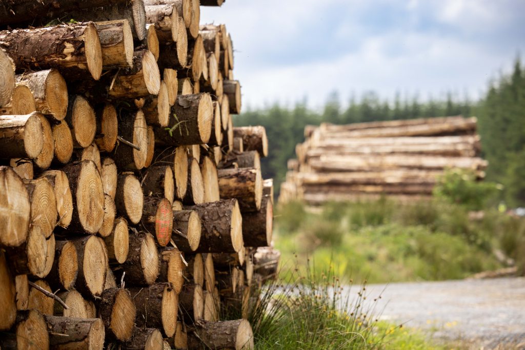 Picture of a neatly stacked pile of timber logs next to a forest road with another timber stack in the backgorund