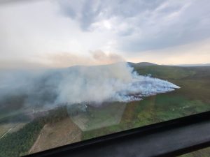 Forest Fire 2