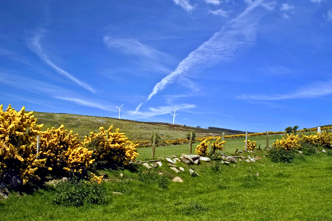 windmills at Kilbrannish