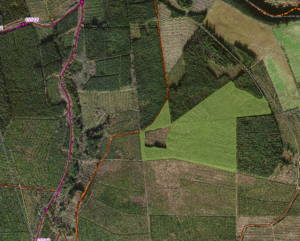 Canon Sheehan Loop harvesting