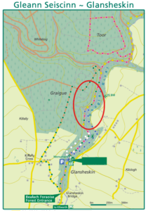 Glansheskin bridge upgrade